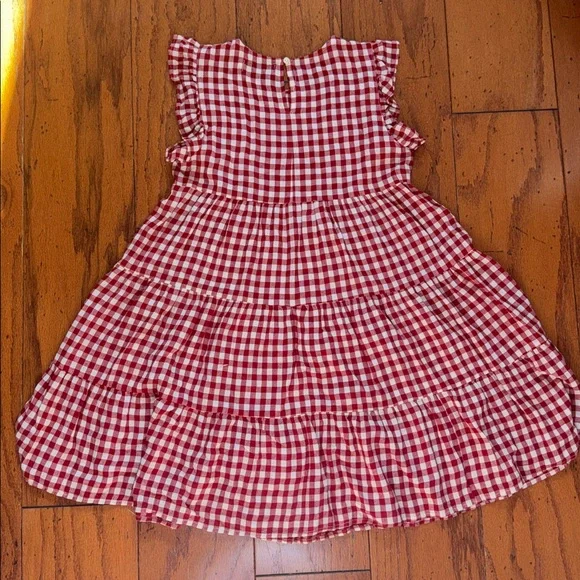 So cute! Sz. 2, never worn, gingham dress from Petal&Pup - Picture 3 of 5